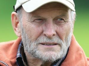 Ausschnitt 1